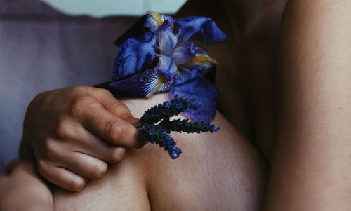 Close-up of hand holding purple flower