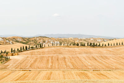 Hay bales on landscape against sky