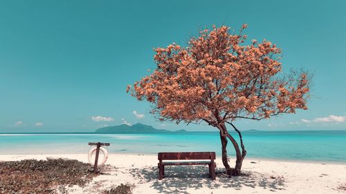 People at beach against blue sky