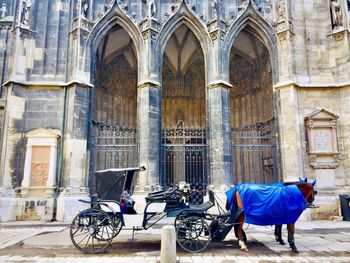 Horse cart on street against buildings in city