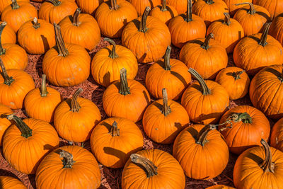 Full frame shot of pumpkin for sale at market