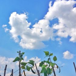 Low angle view of cloudy sky