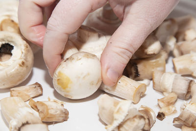 Woman carefully removing stems from mushroom caps near a stove