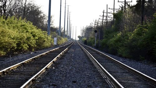 Railroad tracks amidst trees against clear sky