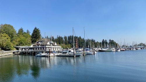 Sailboats moored in harbor against clear sky