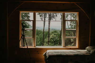 Trees and house seen through window