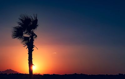 Silhouette tree against sky during sunset