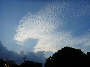 Low angle view of trees against sky