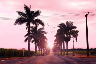 Road by trees against sky during sunset