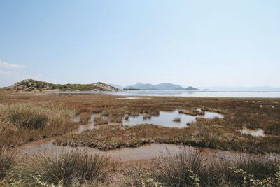 Scenic view of beach against sky