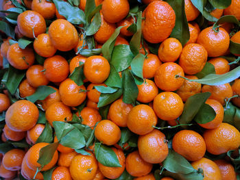 Full frame shot of oranges