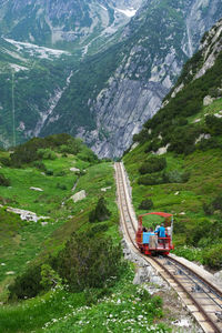 Panoramic view of road amidst trees