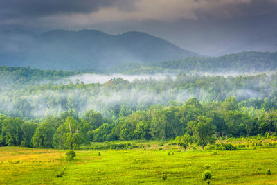 Scenic view of landscape against sky