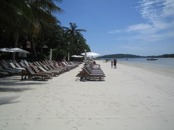 Trees on shore