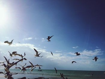 Seagulls flying over sea against blue sky