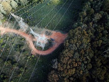 High angle view of road amidst trees in forest