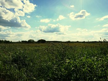 Scenic view of field against sky