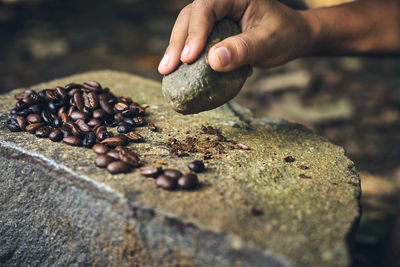 Close-up of person hand holding roasted coffee beans