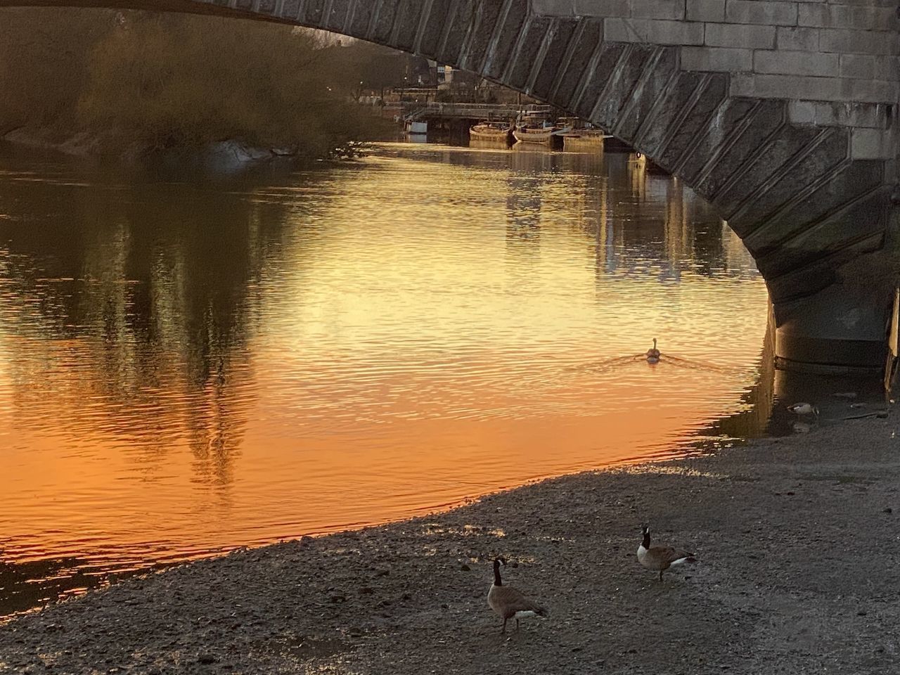 VIEW OF BRIDGE OVER LAKE