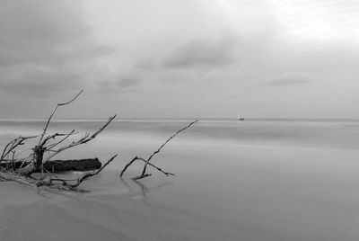 Scenic view of sea against sky during winter