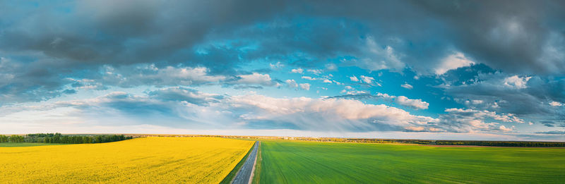 Scenic view of agricultural field against sky