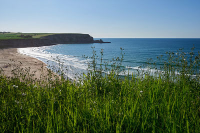 Scenic view of sea against clear sky