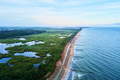 Drone view of sea landscape with sand beach and park