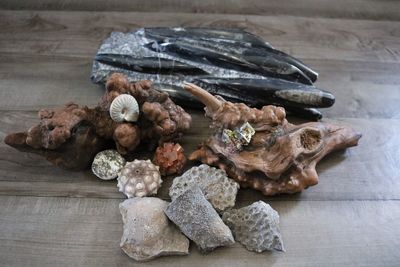 High angle view of rocks on table