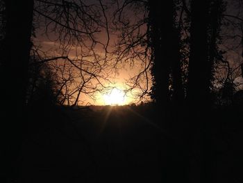 Silhouette of trees at sunset