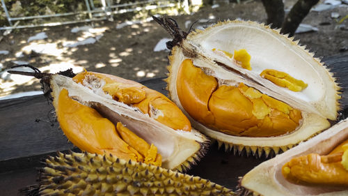 Close-up of seafood on table