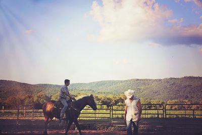 Horse grazing on field