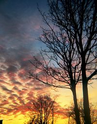 Silhouette tree against dramatic sky during sunset