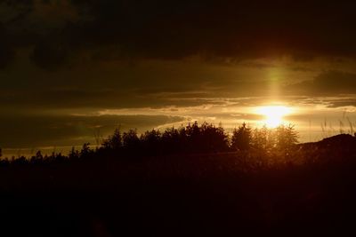 Silhouette trees on field against sky at sunset