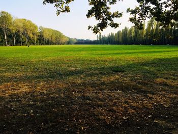 Scenic view of land against sky