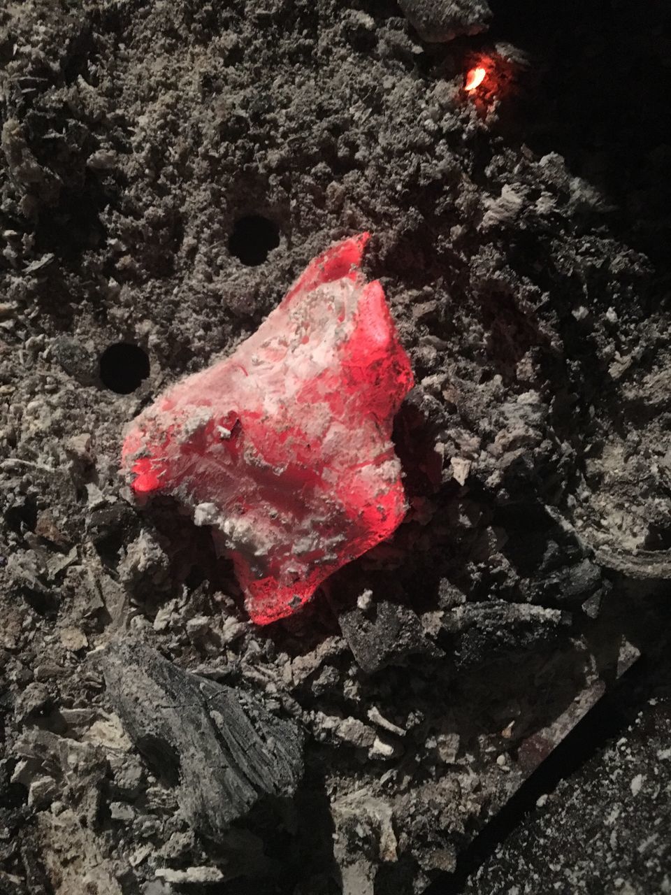 red, high angle view, close-up, nature, outdoors, no people, day, ground, rock - object, leaf, water, pink color, autumn, textured, animal themes, stone - object, wet, fallen, change, dry