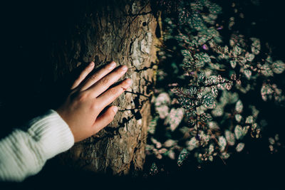 Midsection of person touching tree against plants