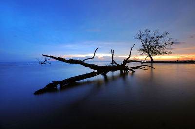Driftwood in lake against sky during sunset