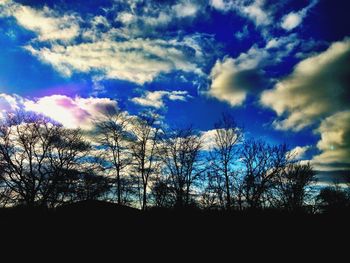 Silhouette of bare trees against cloudy sky