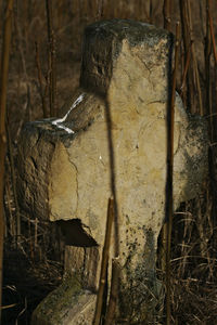 Broken wall