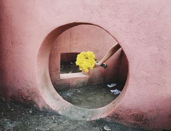 Yellow flowers on wall