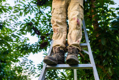 Low section of man wearing shoes