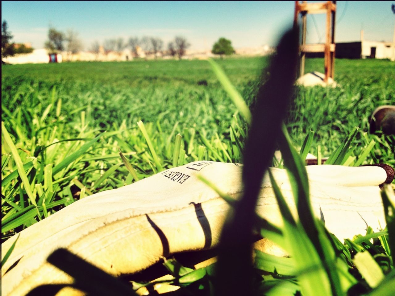 grass, field, green color, plant, growth, focus on foreground, grassy, close-up, landscape, nature, selective focus, day, sunlight, rural scene, agriculture, tranquility, green, no people, outdoors, sky