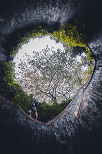 High angle view of trees by plants against sky