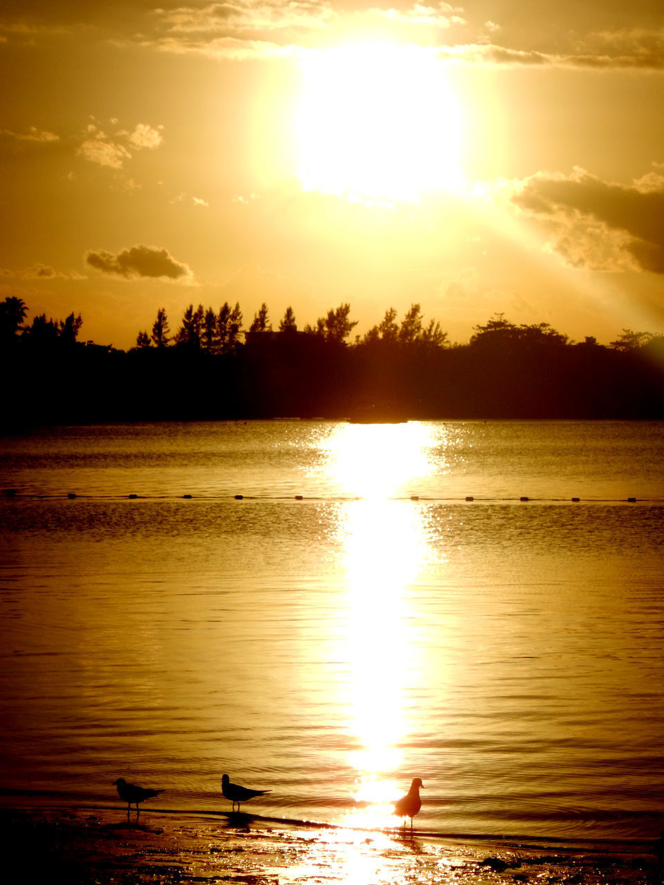 SCENIC VIEW OF SUNSET OVER LAKE