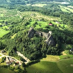 High angle view of trees on landscape