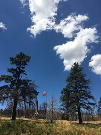 Trees growing at cleveland national forest