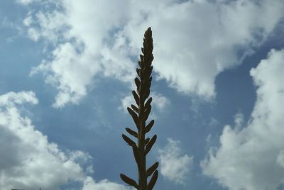 Low angle view of plant against sky