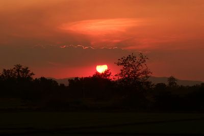 Silhouette trees on field against orange sky