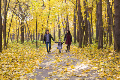 Rear view of people walking in forest during autumn