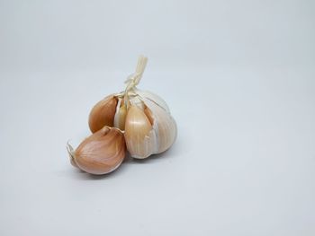 Close-up of eggs against white background